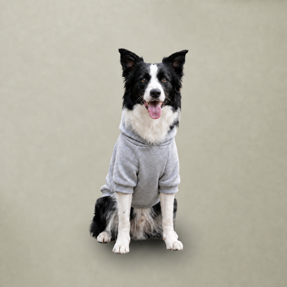 IAMMAUI® Aloha Surf Pet Hoodie — Tropical Wave Dog Sweatshirt with Collar Hole