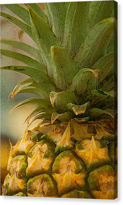 Maui Gold Pineapple - Canvas Print
