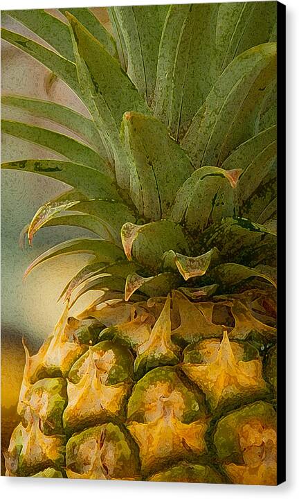 Maui Gold Pineapple - Canvas Print
