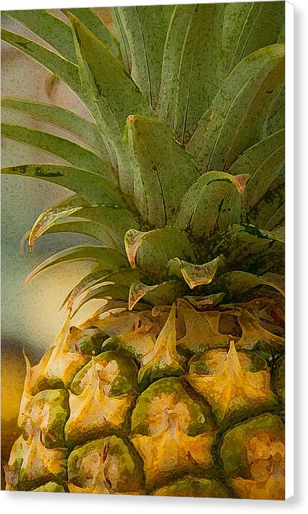 Maui Gold Pineapple - Canvas Print